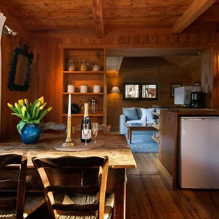 Mazot Les Tines Holiday home Chamonix